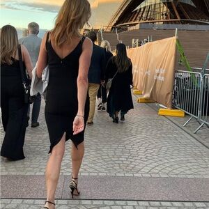 Dress the Population Black Backless Dress